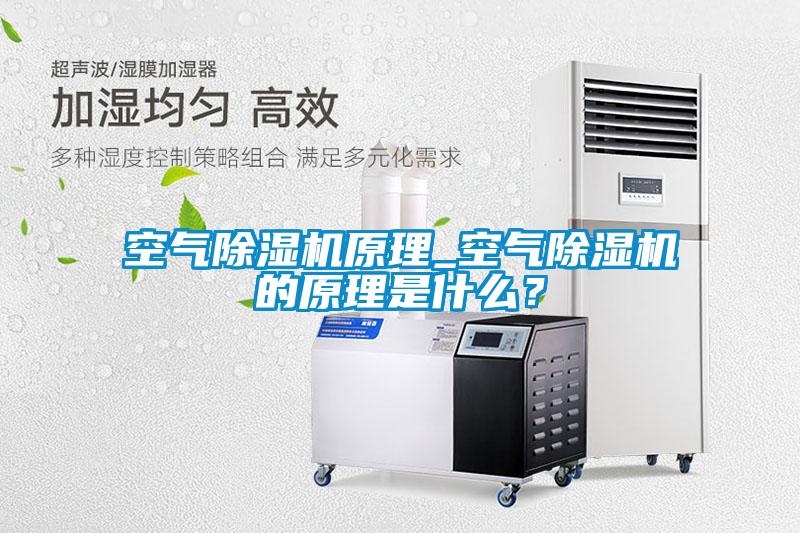 空氣除濕機(jī)原理_空氣除濕機(jī)的原理是什么？