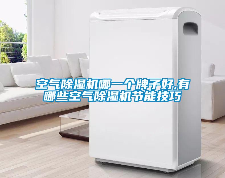 空氣除濕機哪一個牌子好,有哪些空氣除濕機節能技巧