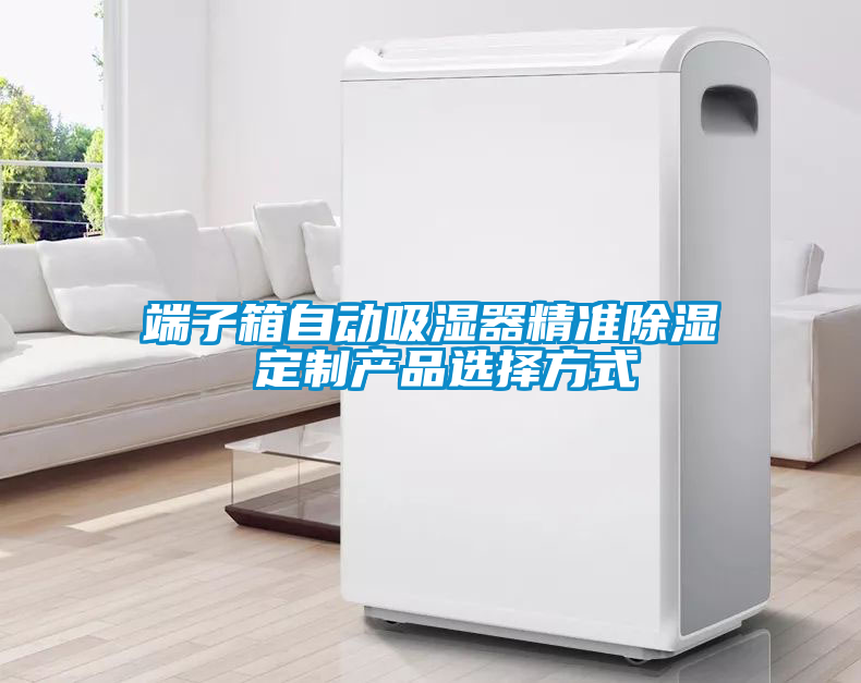 端子箱自動(dòng)吸濕器精準(zhǔn)除濕 定制產(chǎn)品選擇方式