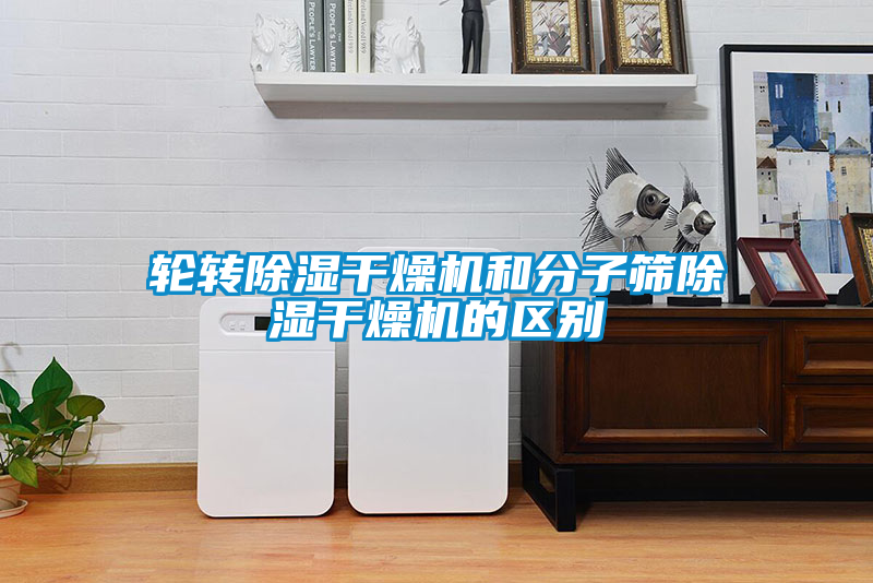 輪轉除濕干燥機和分子篩除濕干燥機的區別
