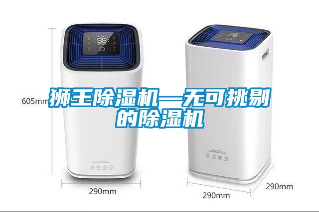 獅王除濕機—無可挑剔的除濕機