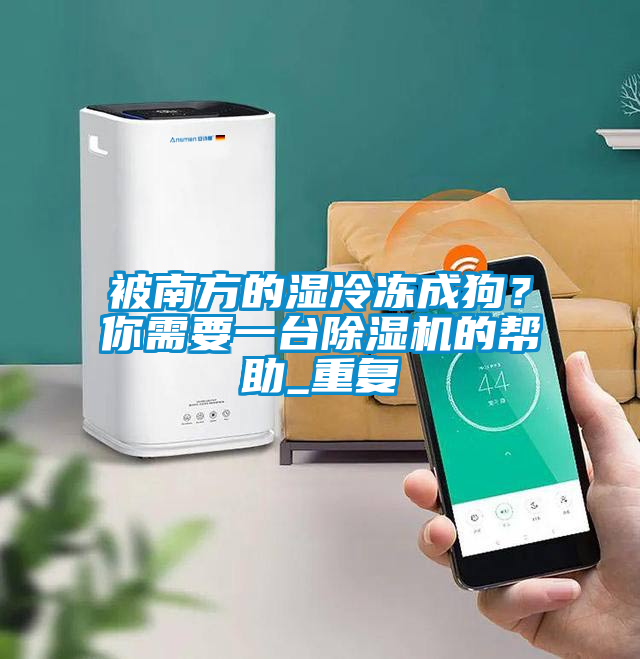 被南方的濕冷凍成狗？你需要一臺除濕機的幫助_重復