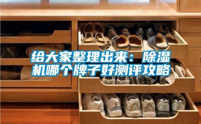 給大家整理出來：除濕機哪個牌子好測評攻略