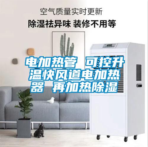 電加熱管 可控升溫快風道電加熱器 再加熱除濕