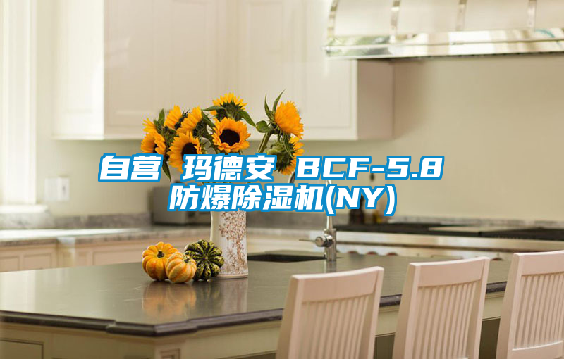 自營 瑪德安 BCF-5.8 防爆除濕機(NY)