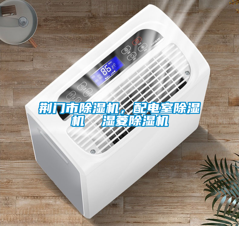 荊門市除濕機(jī)，配電室除濕機(jī)  濕菱除濕機(jī)