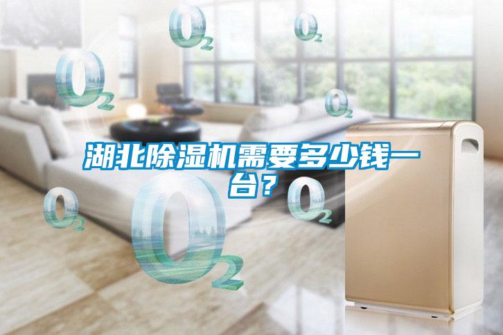湖北除濕機需要多少錢一臺？