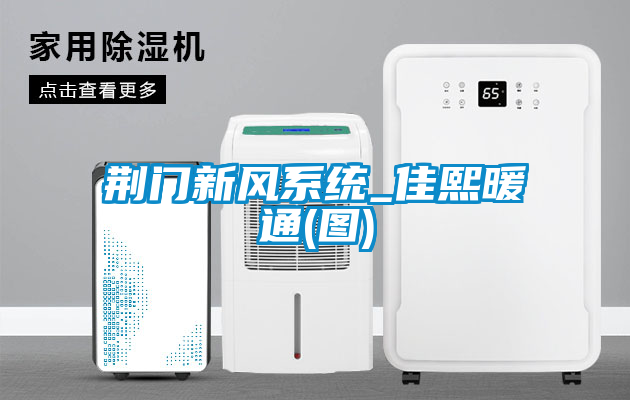 荊門新風系統(tǒng)_佳熙暖通(圖)