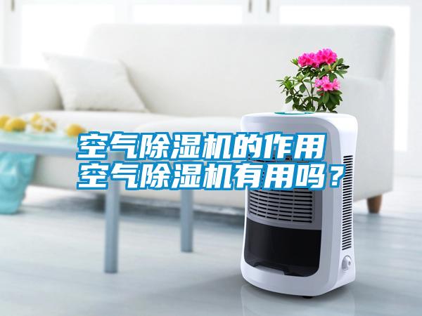 空氣除濕機的作用 空氣除濕機有用嗎？