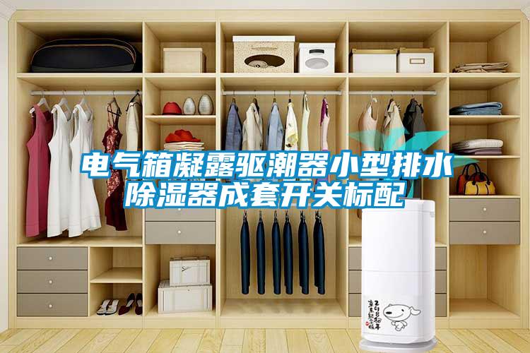 電氣箱凝露驅潮器小型排水除濕器成套開關標配