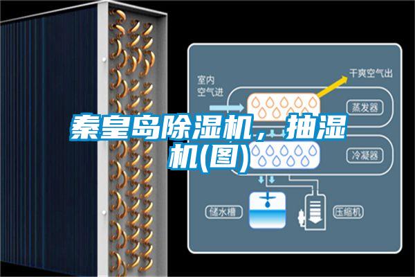 秦皇島除濕機，抽濕機(圖)