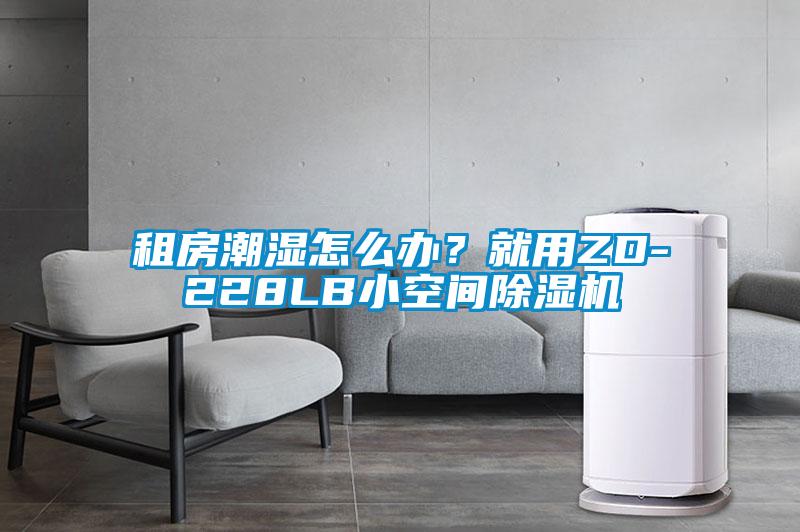 租房潮濕怎么辦？就用ZD-228LB小空間除濕機