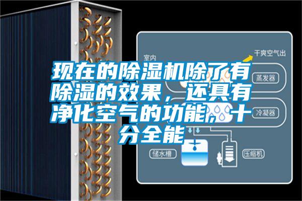 現在的除濕機除了有除濕的效果，還具有凈化空氣的功能，十分全能