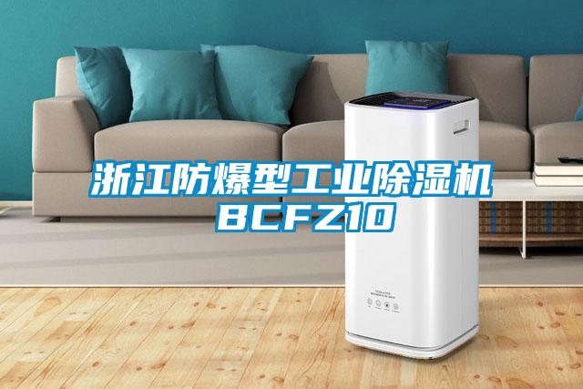 浙江防爆型工業除濕機 BCFZ10