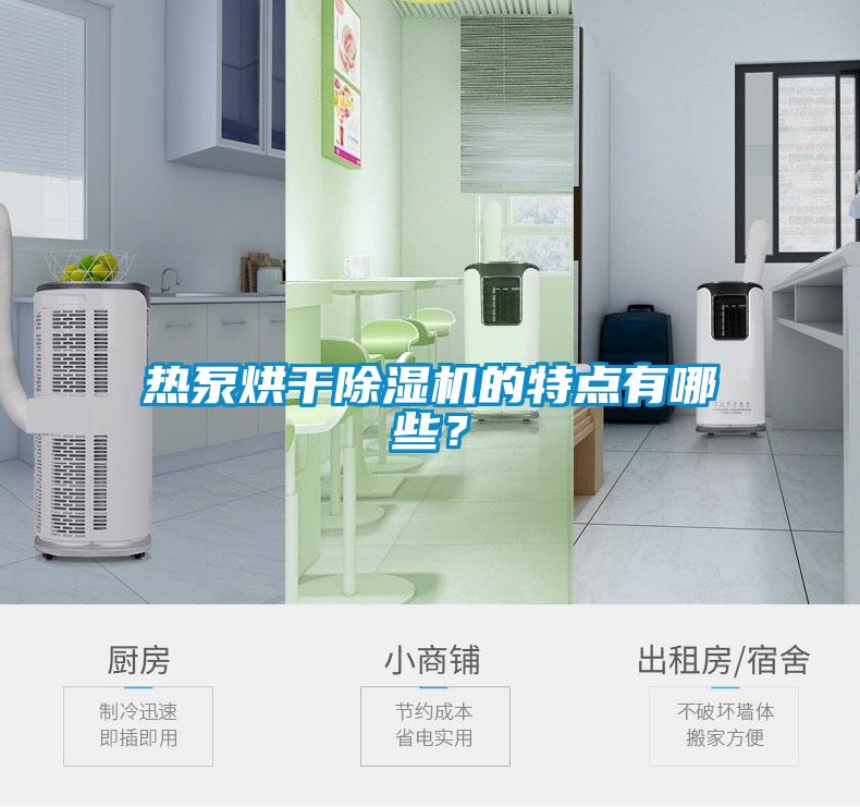 熱泵烘干除濕機的特點有哪些？