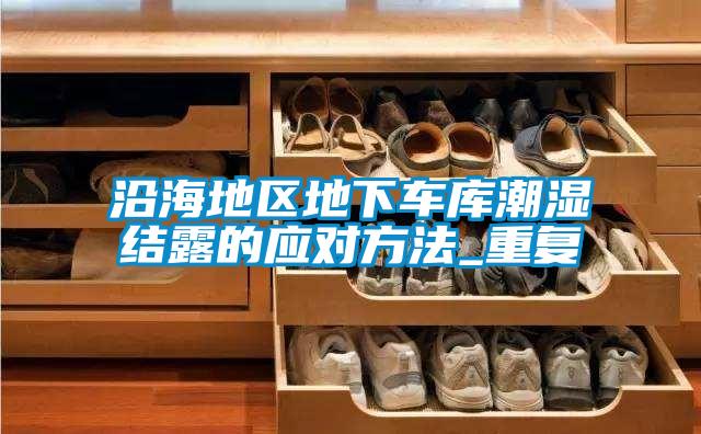 沿海地區地下車庫潮濕結露的應對方法_重復