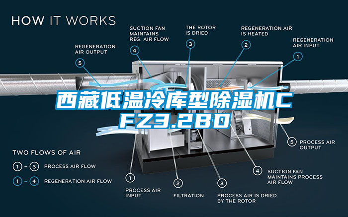 西藏低溫冷庫型除濕機CFZ3.2BD