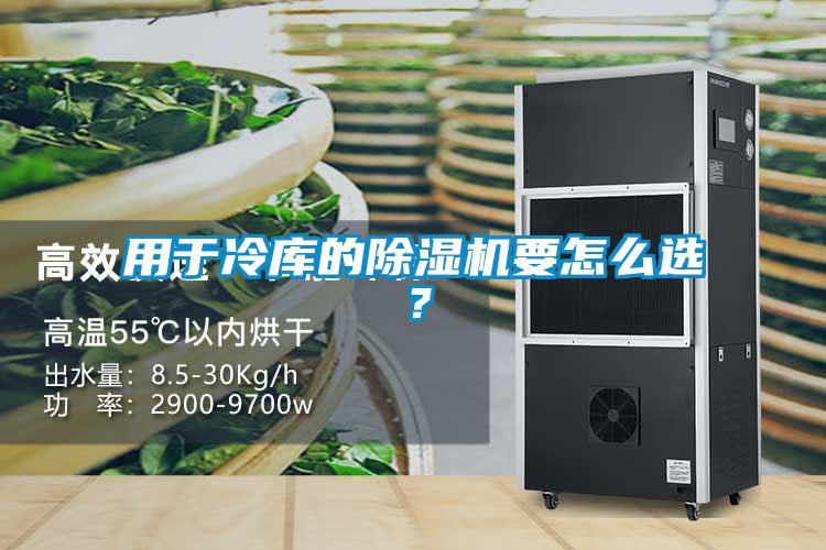 用于冷庫的除濕機要怎么選？