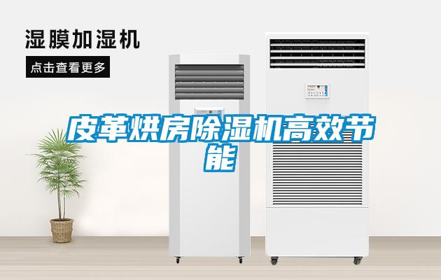 皮革烘房除濕機高效節能