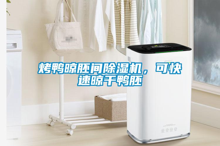 烤鴨晾胚間除濕機(jī)，可快速晾干鴨胚