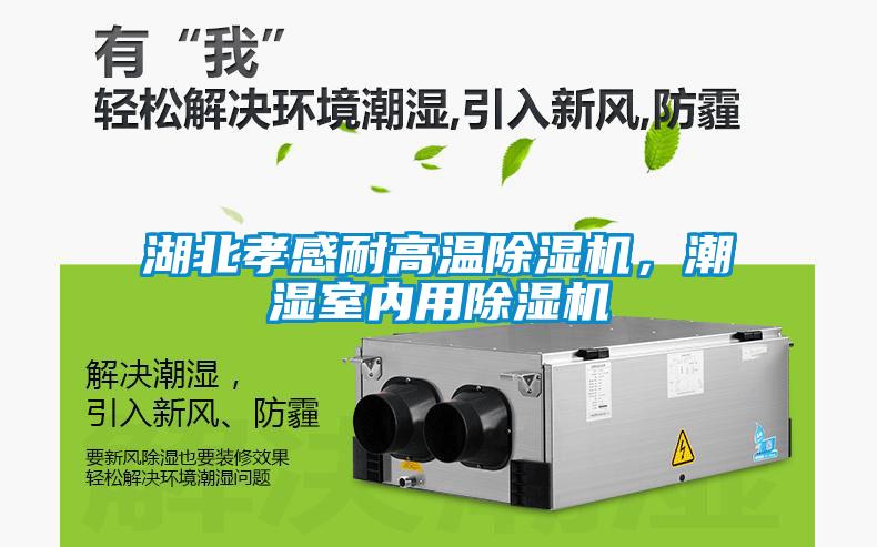 湖北孝感耐高溫除濕機，潮濕室內用除濕機