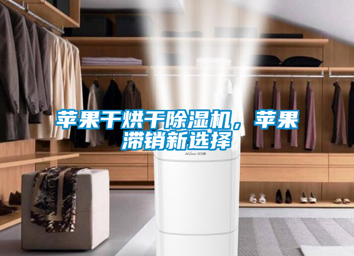 蘋果干烘干除濕機(jī)，蘋果滯銷新選擇