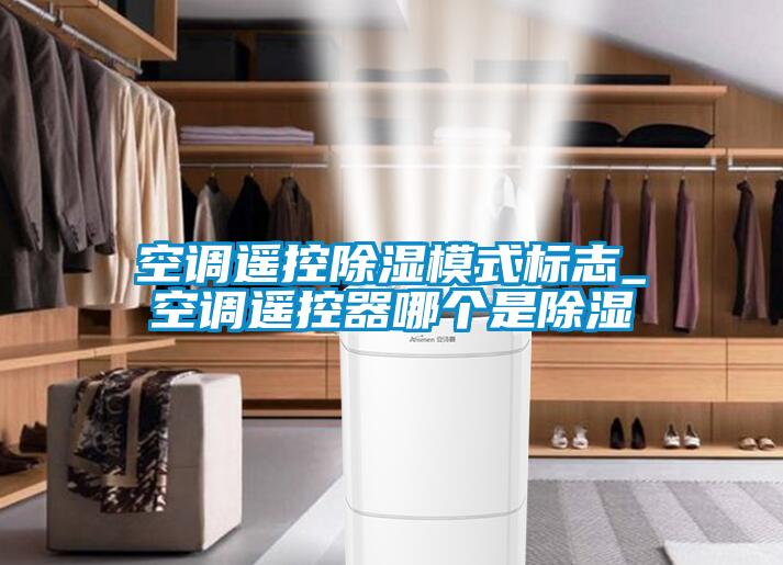 空調遙控除濕模式標志_空調遙控器哪個是除濕
