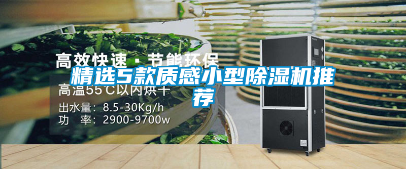 精選5款質(zhì)感小型除濕機推薦