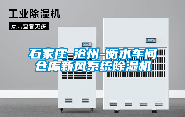石家莊-滄州-衡水車間倉庫新風系統除濕機