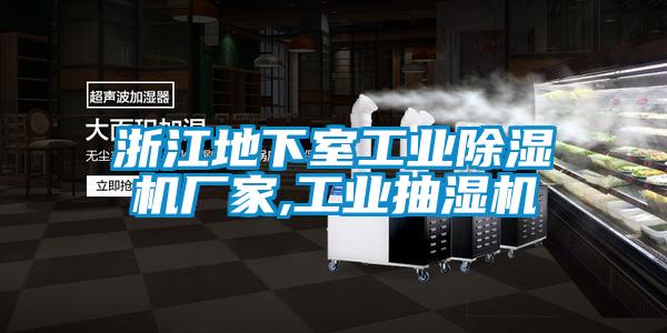 浙江地下室工業除濕機廠家,工業抽濕機