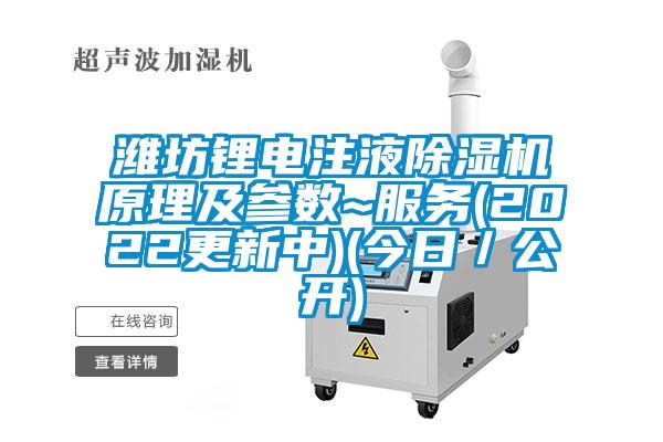 濰坊鋰電注液除濕機(jī)原理及參數(shù)~服務(wù)(2022更新中)(今日／公開)