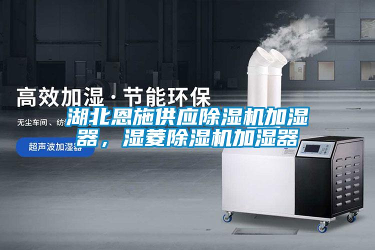 湖北恩施供應除濕機加濕器，濕菱除濕機加濕器