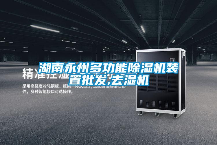 湖南永州多功能除濕機裝置批發,去濕機