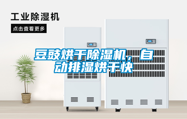 豆豉烘干除濕機，自動排濕烘干快
