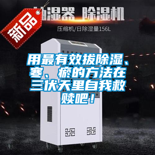 用最有效拔除濕、寒、瘀的方法在三伏天里自我救贖吧！