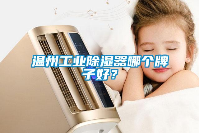 溫州工業(yè)除濕器哪個(gè)牌子好？