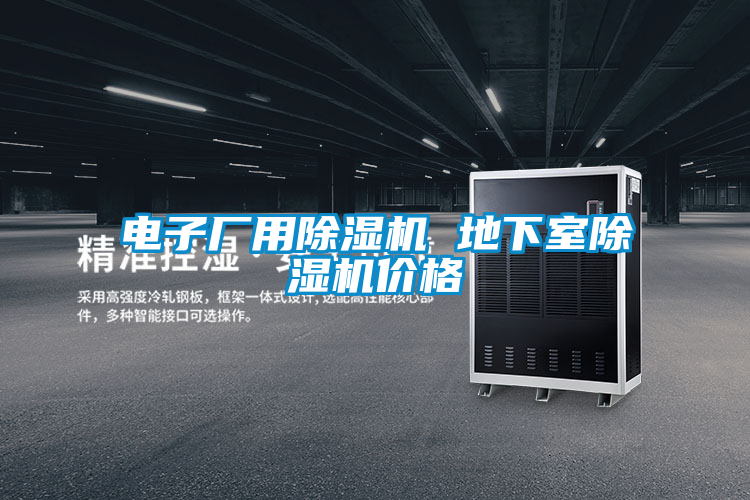 電子廠用除濕機 地下室除濕機價格