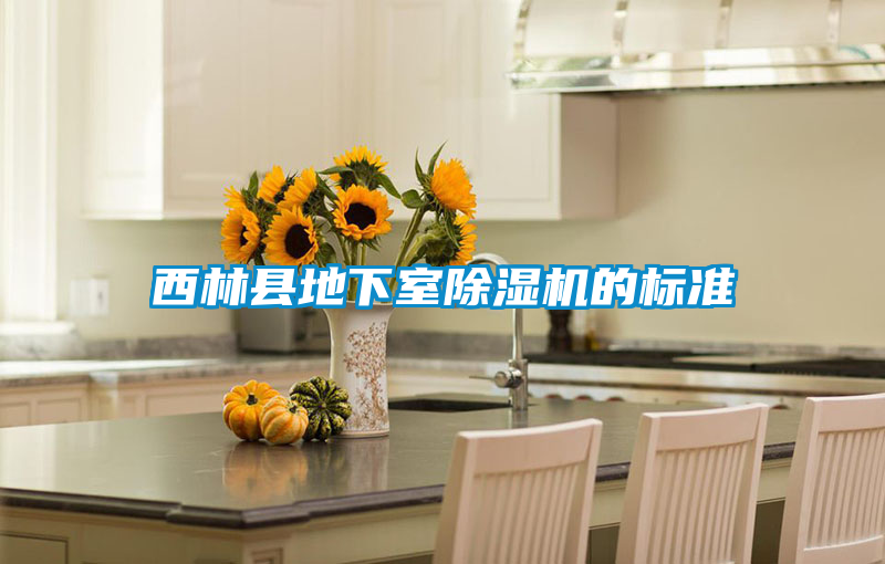 西林縣地下室除濕機的標準
