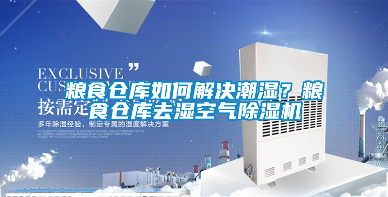 糧食倉庫如何解決潮濕？糧食倉庫去濕空氣除濕機(jī)