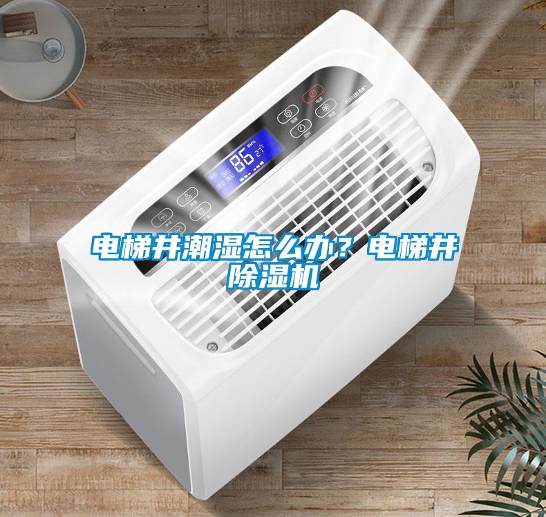 電梯井潮濕怎么辦？電梯井除濕機