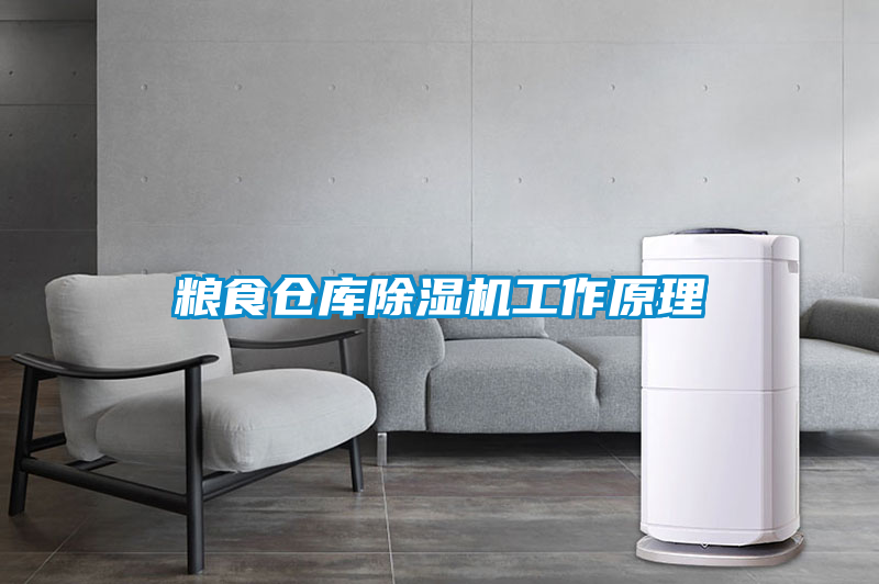 糧食倉庫除濕機(jī)工作原理