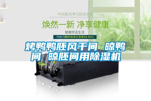 烤鴨鴨胚風干間 晾鴨間 晾胚間用除濕機