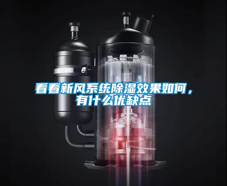 看看新風系統除濕效果如何，有什么優缺點