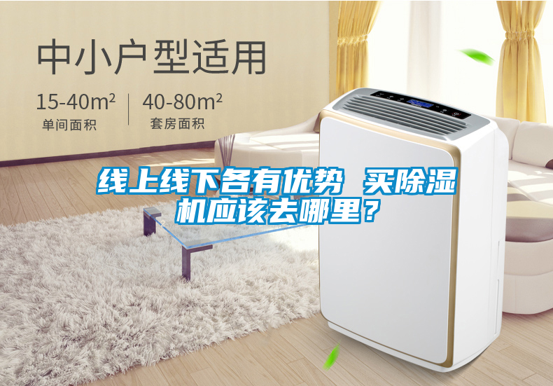 線上線下各有優勢 買除濕機應該去哪里？