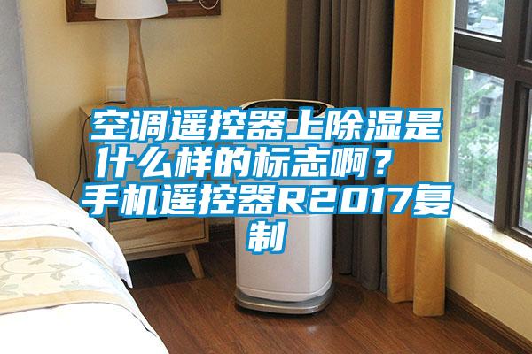 空調遙控器上除濕是什么樣的標志啊？ 手機遙控器R2017復制