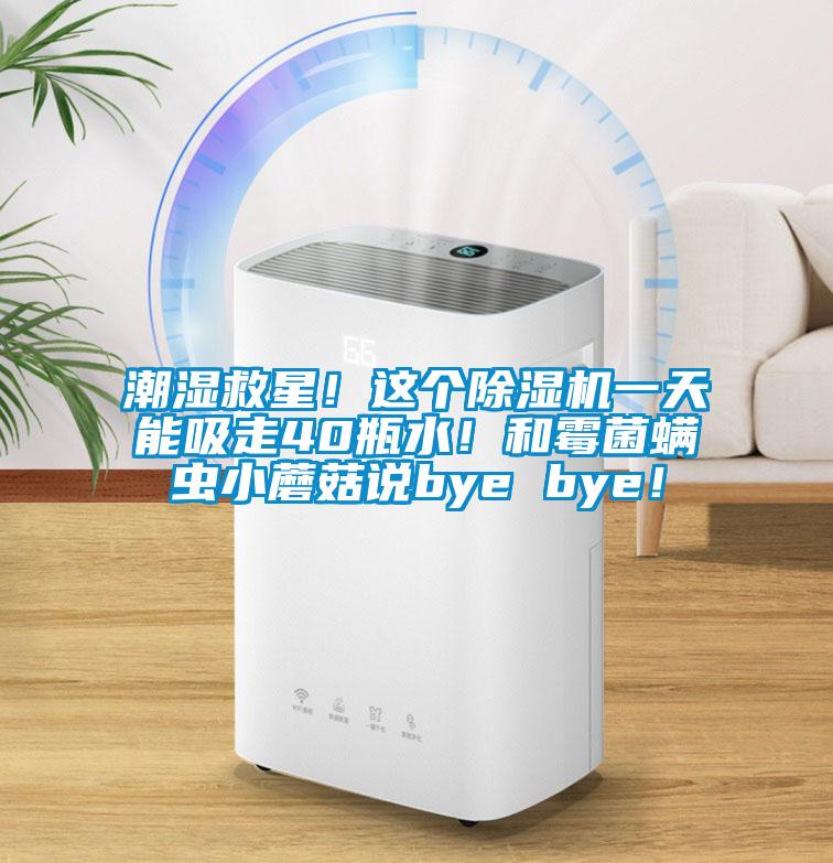 潮濕救星！這個除濕機一天能吸走40瓶水！和霉菌螨蟲小蘑菇說bye bye！