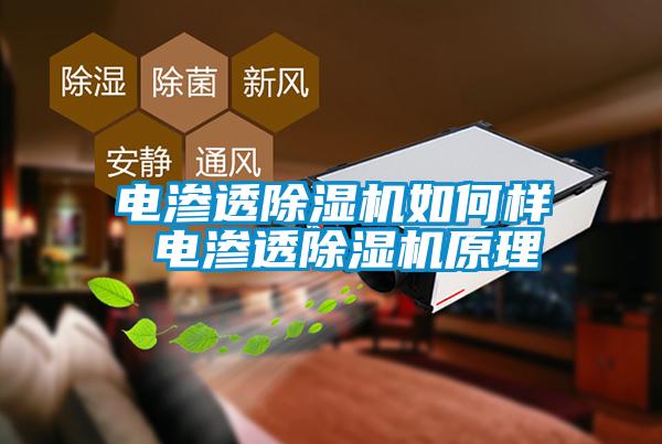 電滲透除濕機如何樣 電滲透除濕機原理