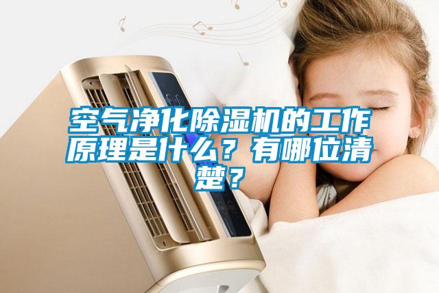 空氣凈化除濕機的工作原理是什么？有哪位清楚？