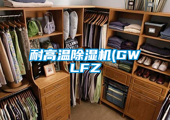 耐高溫除濕機(GWLFZ