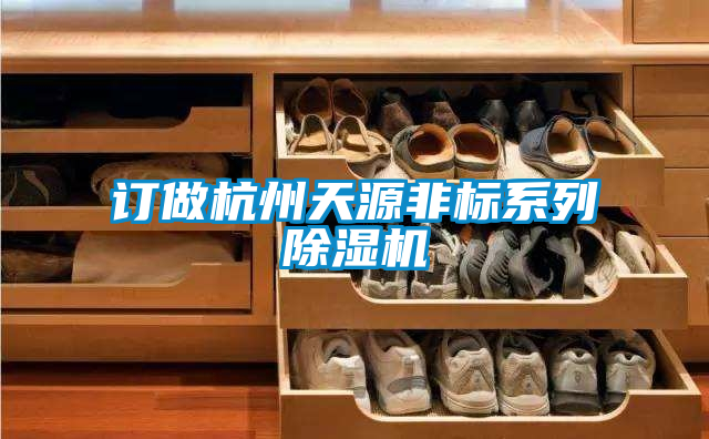 訂做杭州天源非標(biāo)系列除濕機